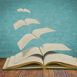 Librolandia