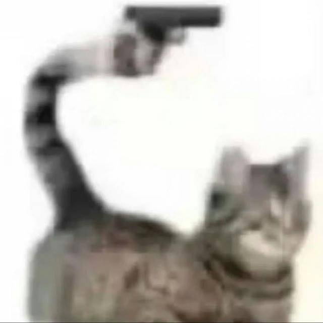 P̷u̷r̷a̷ ̷J̷o̷d̷a̷⛩️ Pura joda